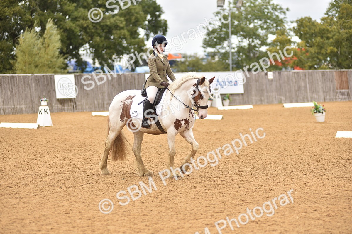 SBM_42339 - D22 - Junior Championship Intro 3