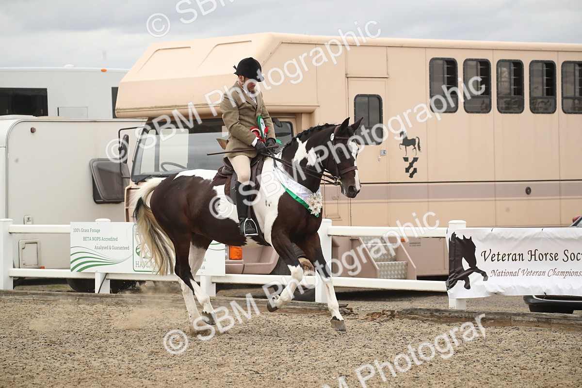 SBM_18335
