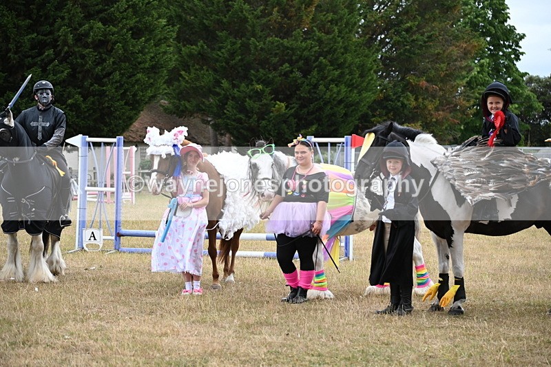 WJ6_9243 - Class 11 Fancy Dress