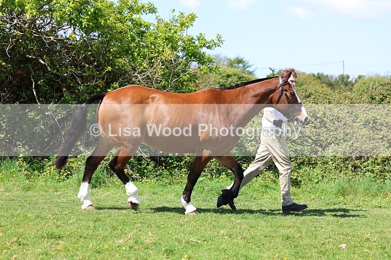 3E7A0276 - Class 19: Best Coloured in Hand