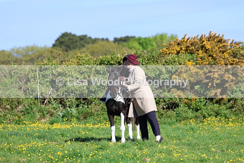 3E7A8867 - Class 2: Lead rein