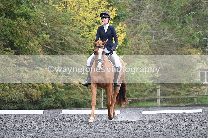 WJ7_6619 - Time 14:49 to 15:14