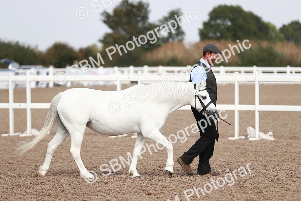 SBM_13810 - Class 209 IH Veteran Pony