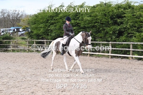 BPP_7436 - RING 1  (RIDDEN HORSES / IN HAND / VETERAN ETC)