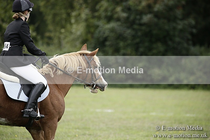 BVR080918 76 - BVRC Novice Dressage & CR 08/09/18