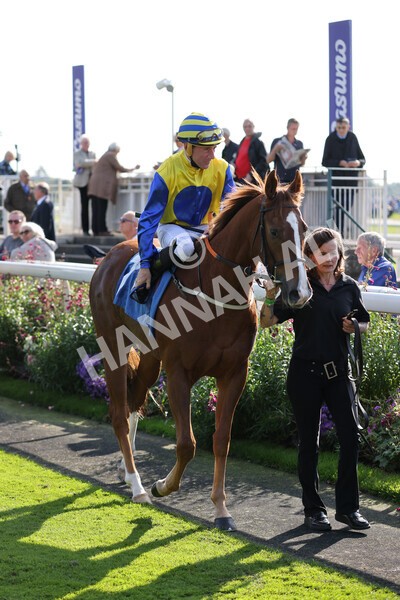 yr08102021r1-7 - Race 1 2.05pm Parsonage Hotel and Cloisters Spa Nursery Handicap