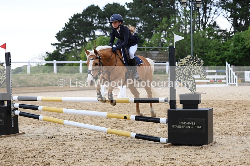 3E7A8500 - Class 13: Pony Discovery/90cm open