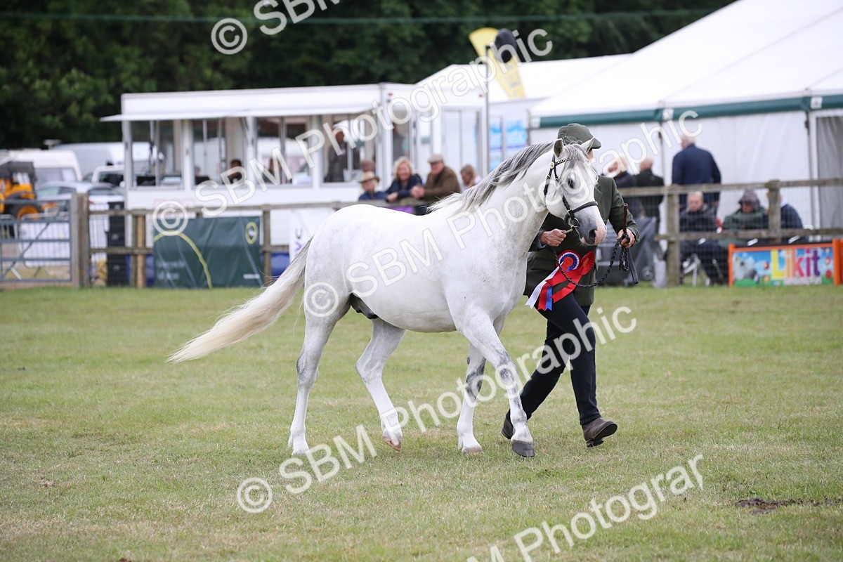 SBM_09862 - Ch 50 - Price Family Supreme In Hand