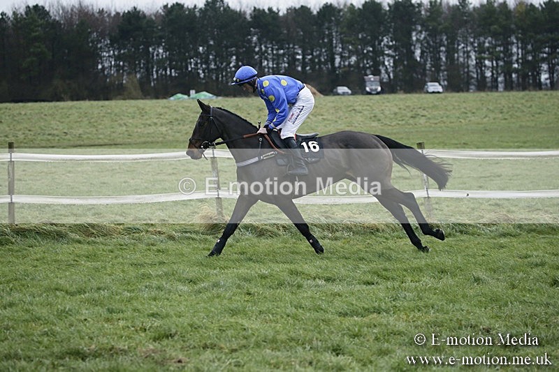 PtP 031217 743 - Hursley Hambledon Point-to-Point Larkhill 03/12/17