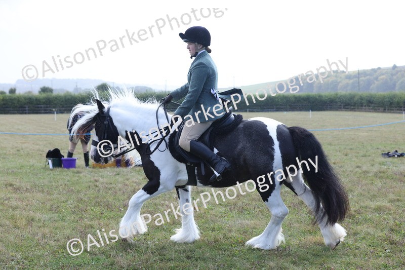 20250831-2440 - Class 16 - Family Pony