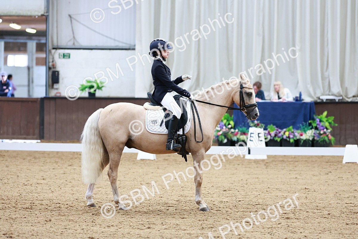 SBM_017402 - Class15 - FEI Pony
