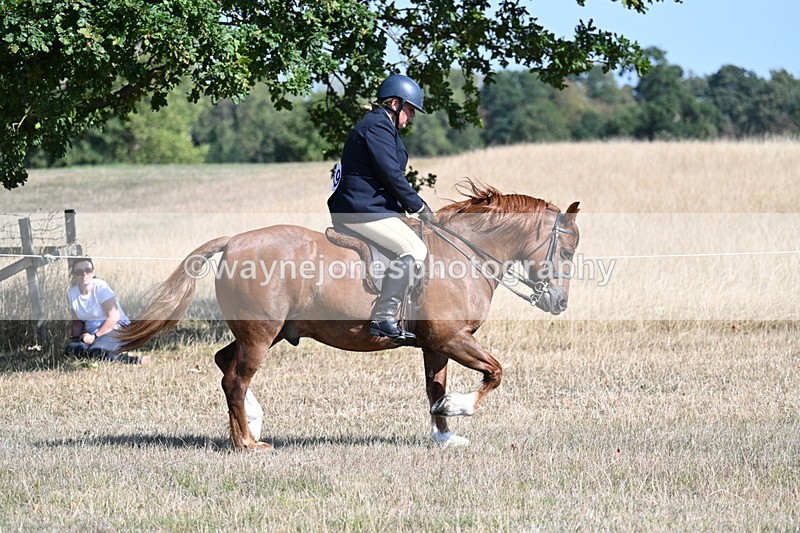 WJ7_3853 - Class 9 Mountain & Moorland Ridden