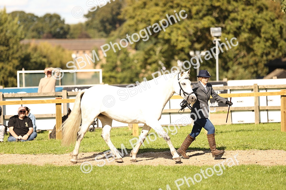 SBM_26129 - S5 - Novice & Newcomers In Hand