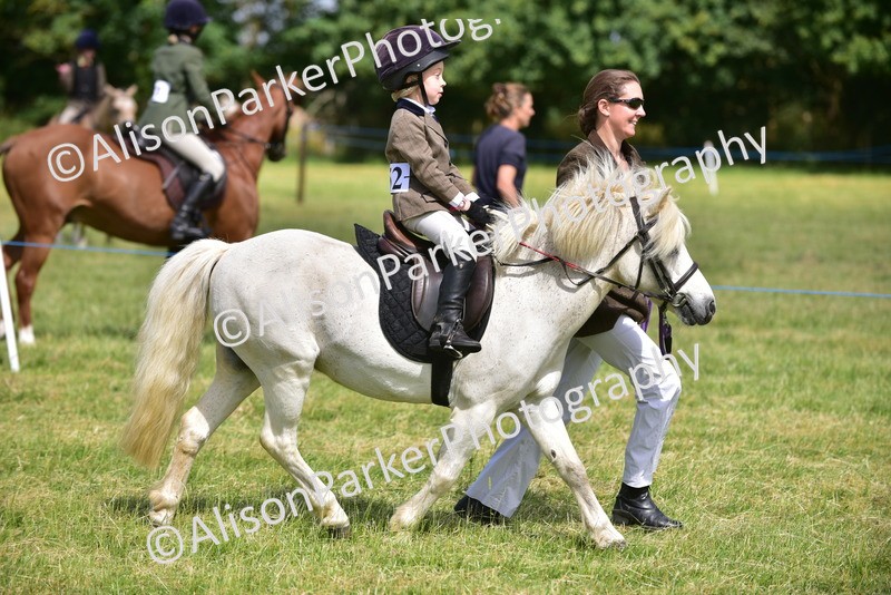 20260614-1148 - Class 11a - Lead Rein Pony (Unplaited)