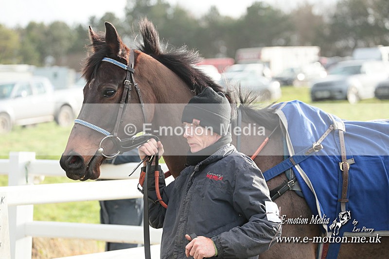 PtP 311223 365 - Larkhill Racing Club Point-to-Point 31/12/23