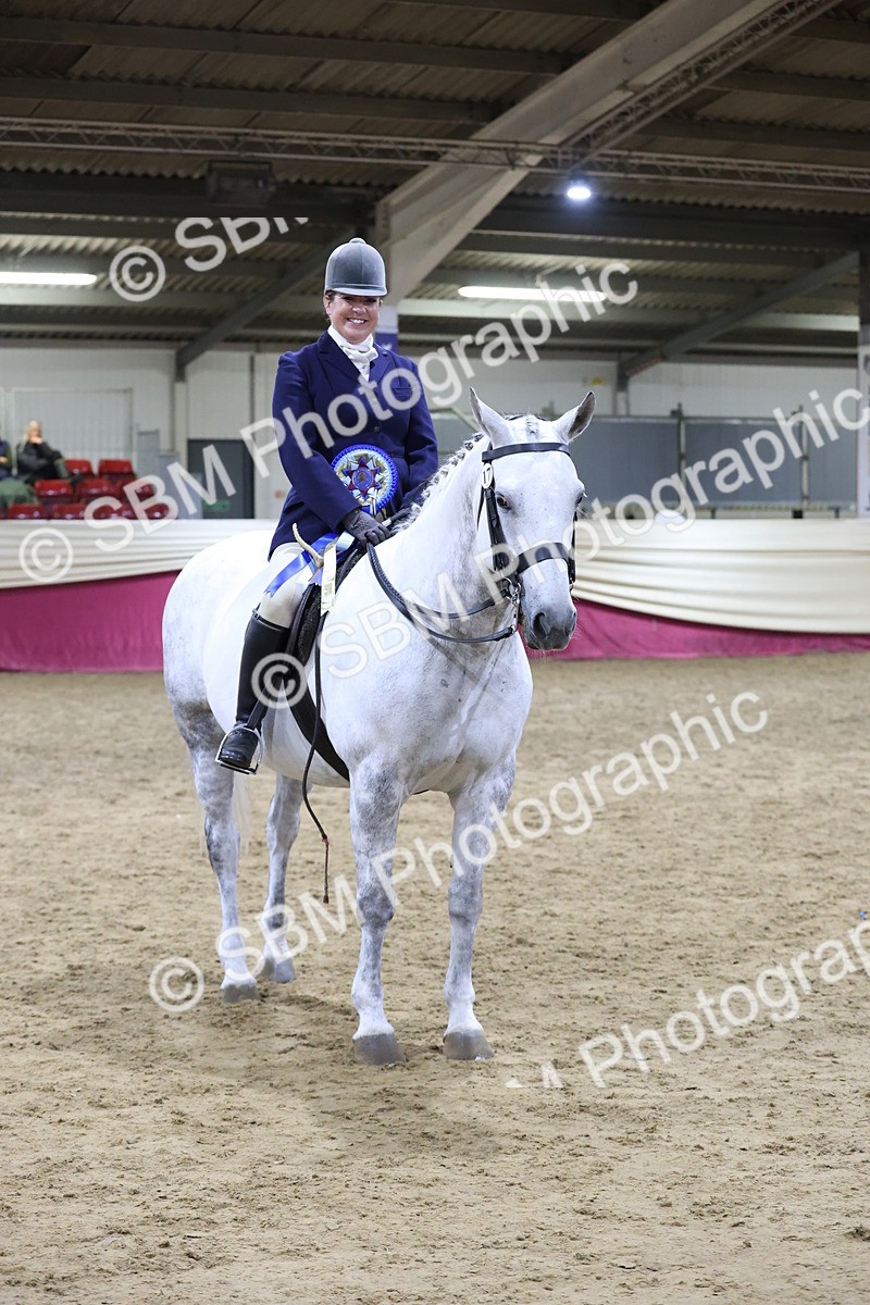 SBM_21194 - class Q - Ridden Horse Champ