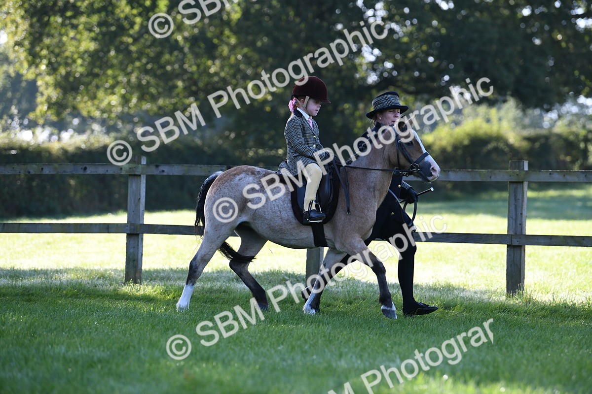 SBM_35348 - S17 - Condition & Turnout - Lead Rein