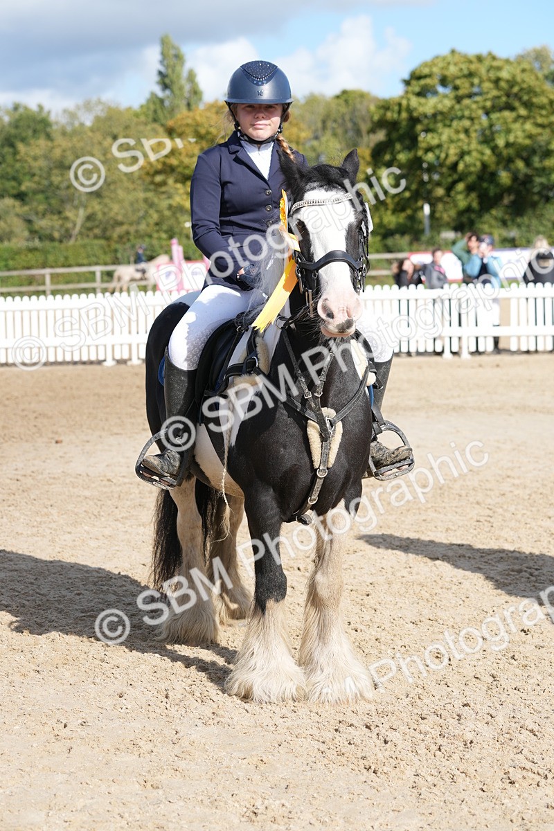 SBM_48621 - J7 - Junior Pony 60cm Championship
