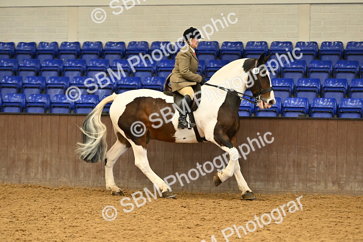 SBM_002020 - Class 21 - BSHA Ridden Show Cob