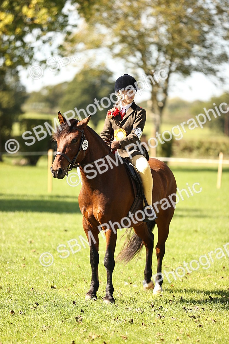 SBM_19184 - S3 - TSR Ridden Pony Showing