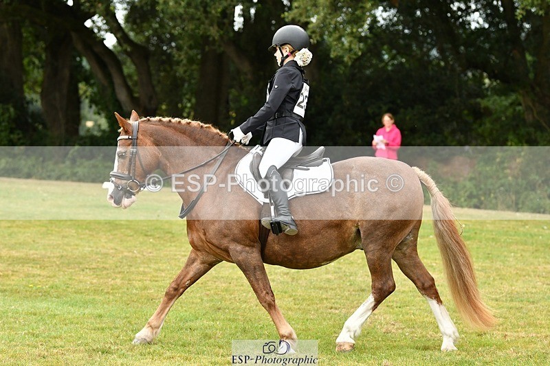 250820A-121551-05519 - 12 to 13.00