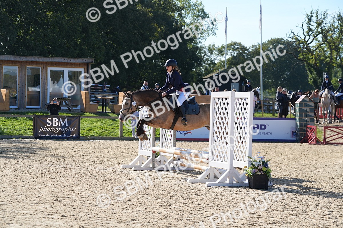 SBM_36210 - J 20 - Junior Horse 50cm Championship