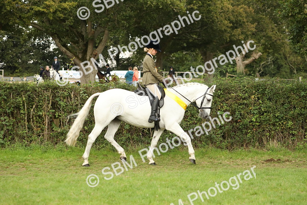 SBM_75350 - Equitation Supreme Championship