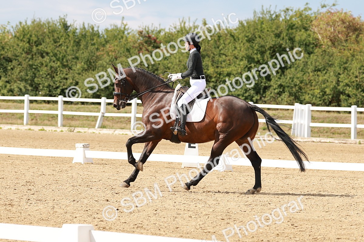 SBM_002472 - Class 11 - Medium 6