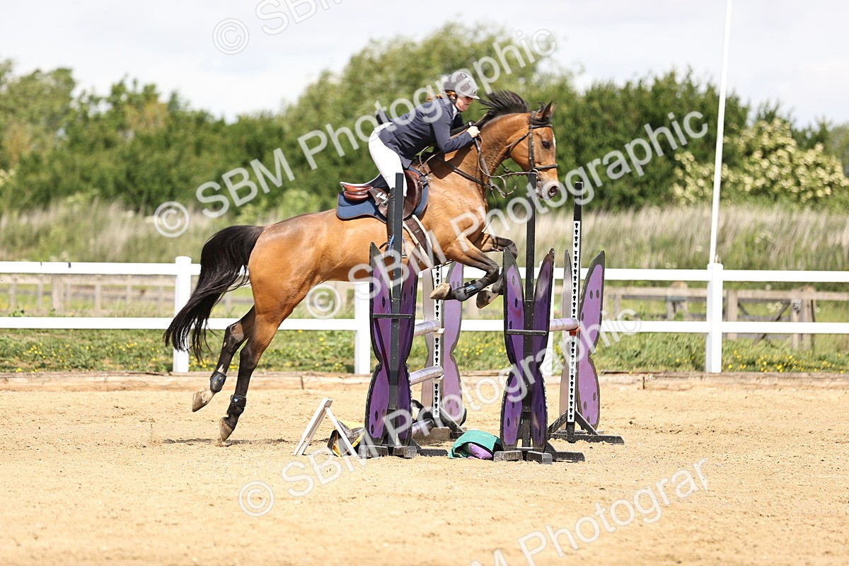 SBM_002275 - Class 9 - Senior British Novice - 90cm