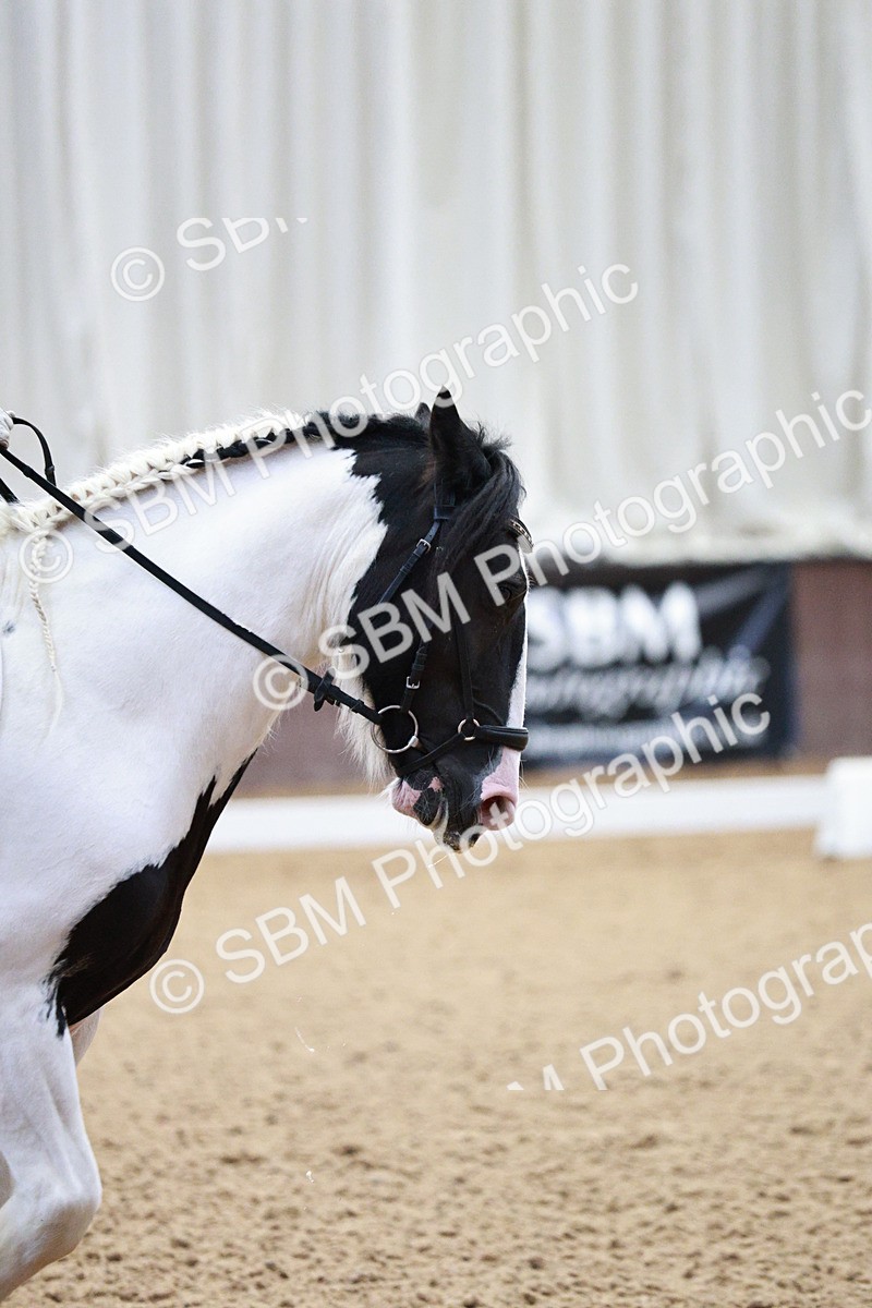 SBM_004095 - Class 13-19 - Novice FSM-INT 1 - 9.00-9.54