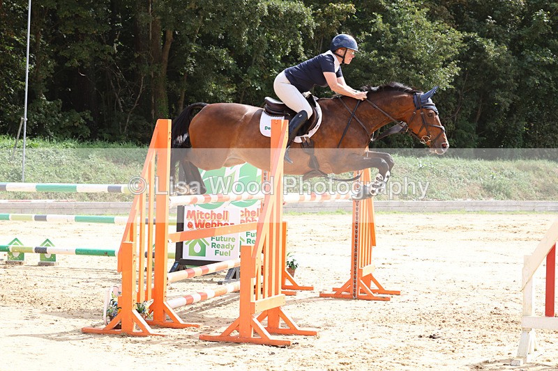 3E7A1911 - Class 9: Senior Foxhunter/1.20 open
