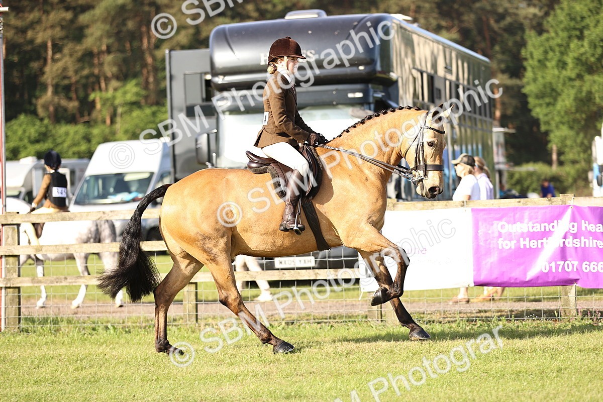 SBM_10648 - Class 73-74 - LIHS BSHA Open Style & Performance