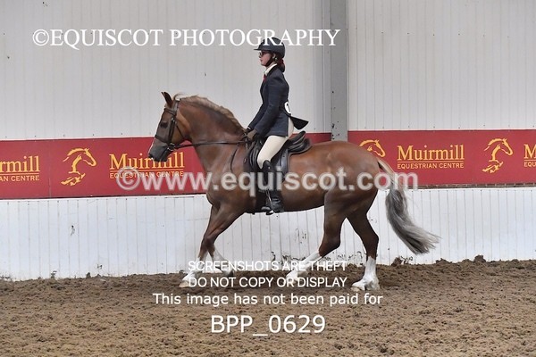BPP_0629 - RING 2