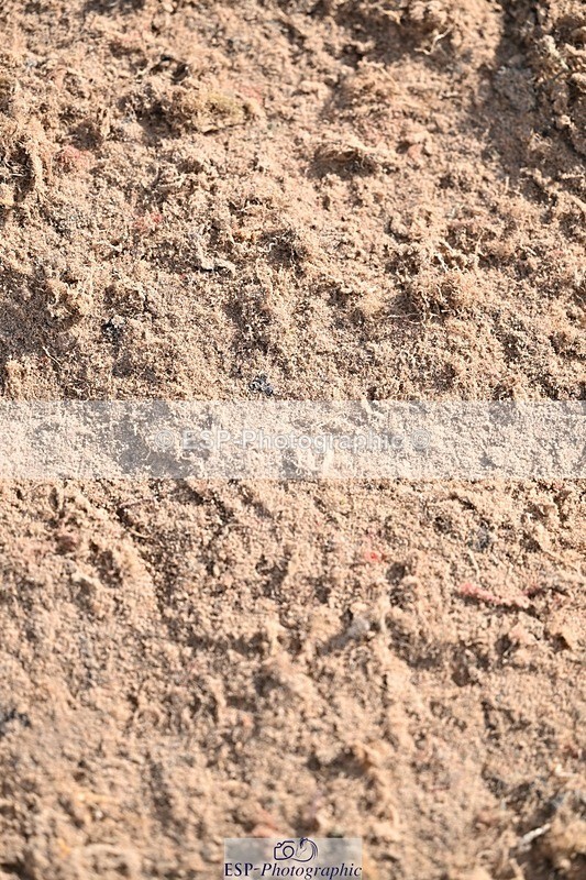 260311-151338-00771 - Cls 6+7 Foxhunter, 1.20m and 1.30m