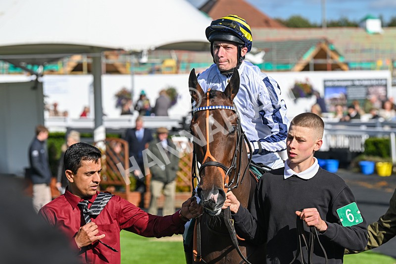 100924-Race 4-Scarboroughwarning-0261 - Race 4