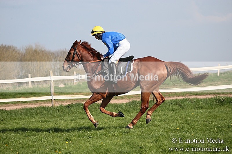 PtP 210418 471 - South & West Wilts Point-to-Point Larkhill 21/04/18