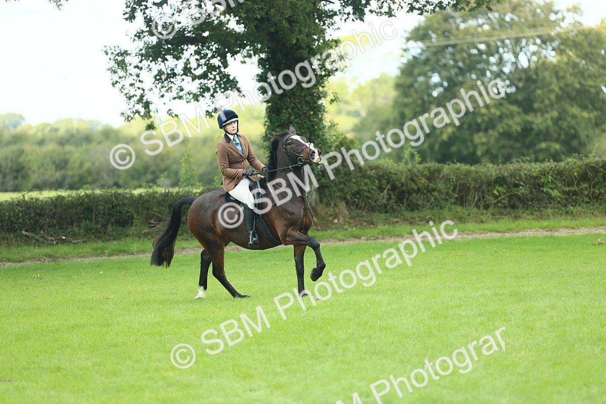 SBM_43011 - S30 - M&M Working hunter Pony