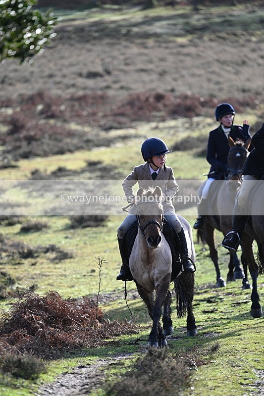 WJ7_8079 - Line 3 (no line 4 or 5)