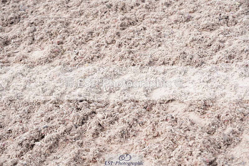 250505-093604-04117 - Cls 12 Stepping Stones