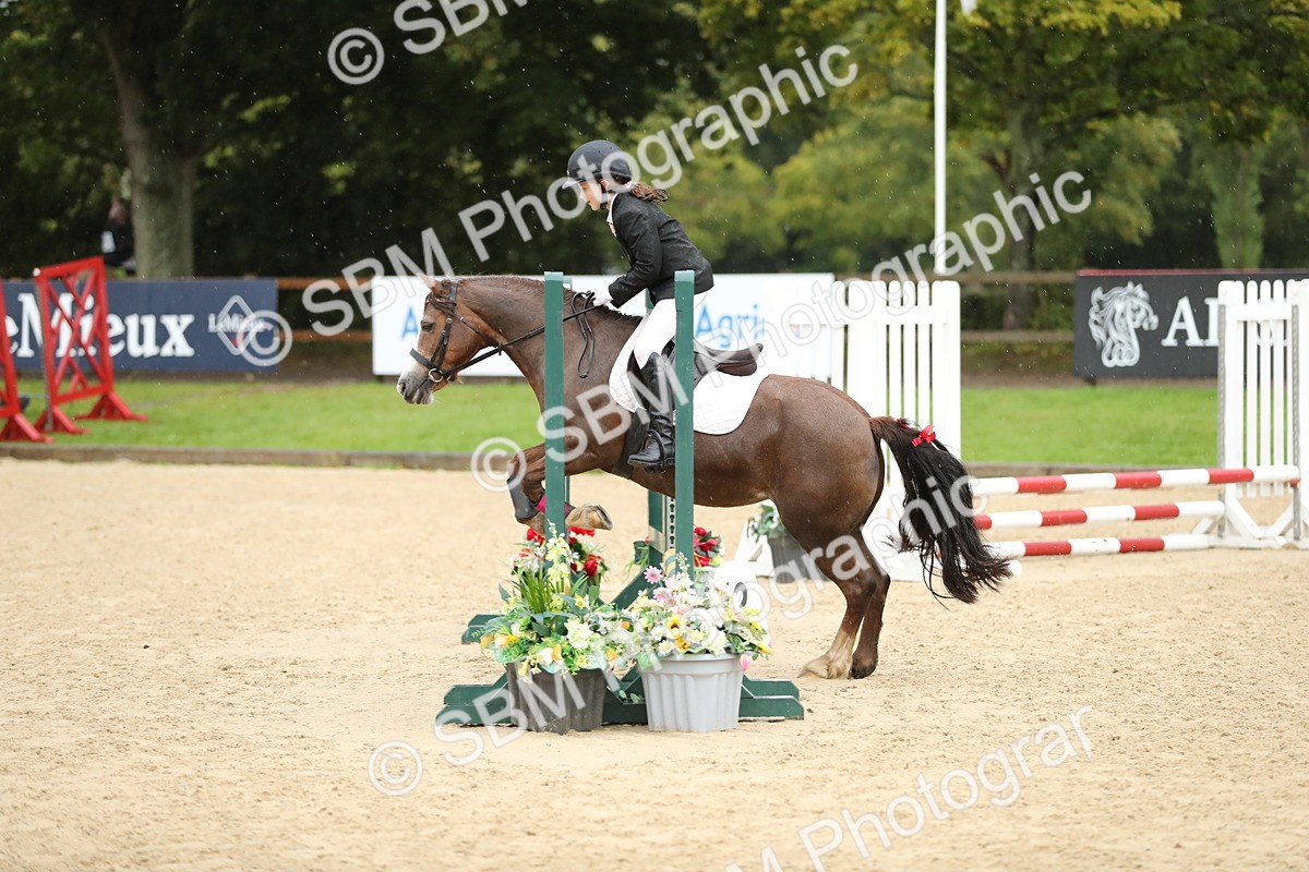 SBM_34384 - J60 Clear Round 50cm