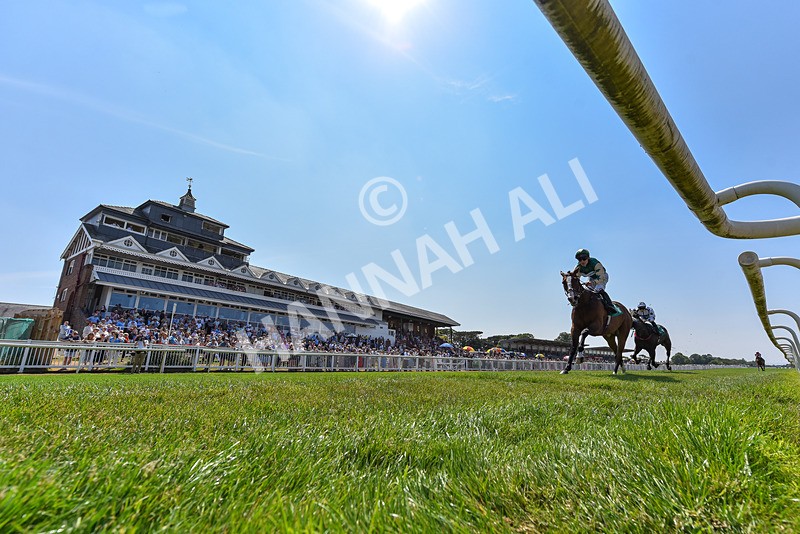 160726-Race 1-Clementines Star-3307 - Race 1 13.53pm Best Ticket Deals Online @thirskraces Book Now Restricted Maiden Fillies' Stakes