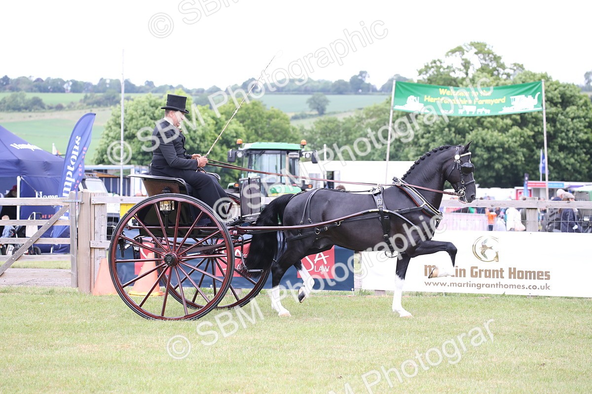 SBM_05714 - Class 12-15 - HOYS Private Driving