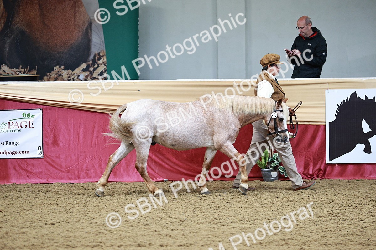 SBM_00859 - Class 2A - Area IH Veteran