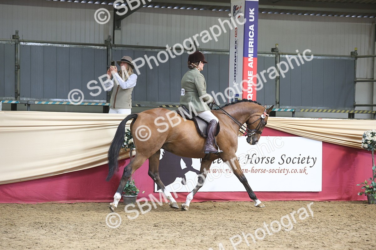 SBM_23716 - class 906 - Supreme Final - Ridden Pre Vet