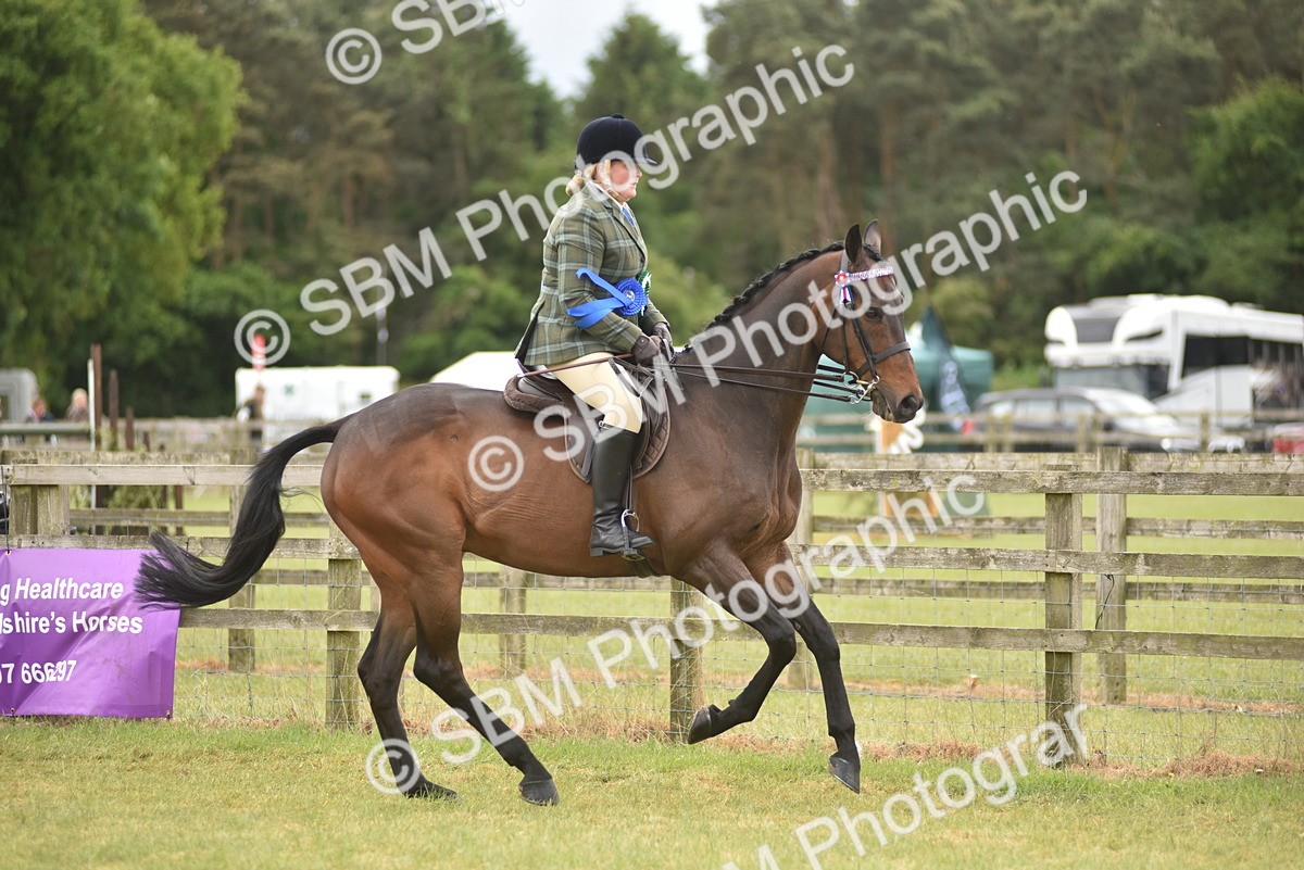 SBM_14277 - Class 113-114 - Retraining of Racehorses Ridden