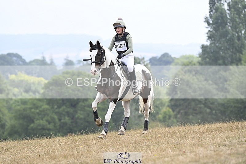 250824A-121043-36258 - 2067-Isla.Ellis-Pied.Piper