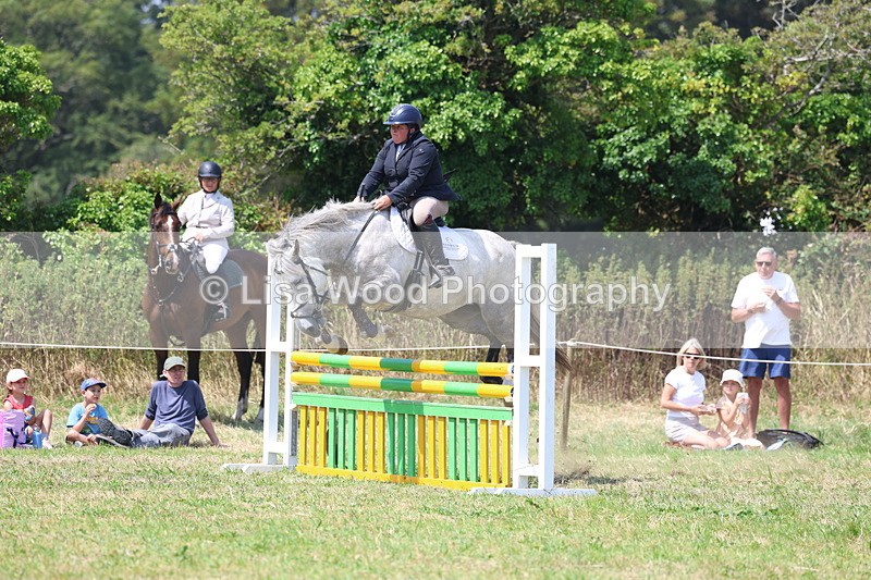 3E7A2945 - Class 7: Senior British Novice/90cm open