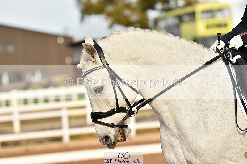 231104A-130100-01824 - Cls 8 Elementary 59