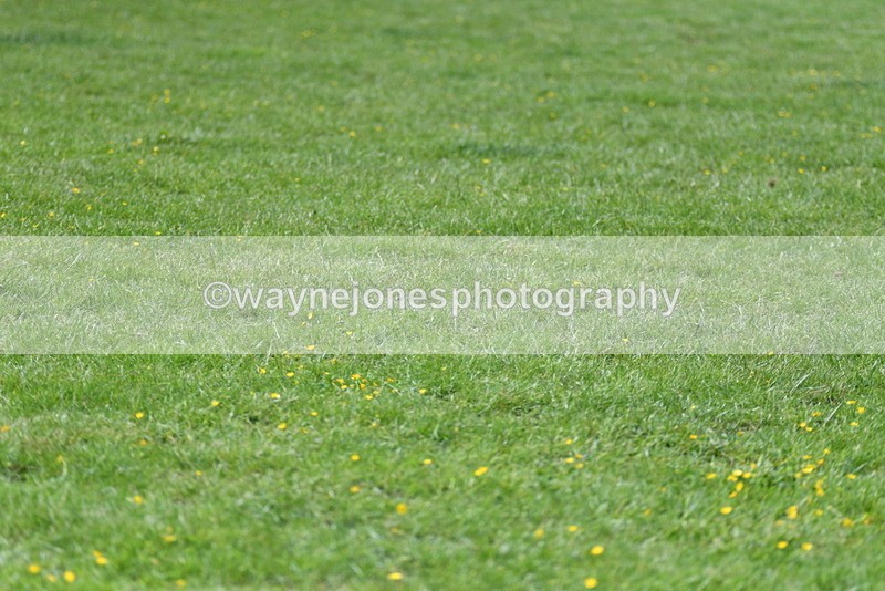 WJ5_1233 - Time 13:45 to 14:20
