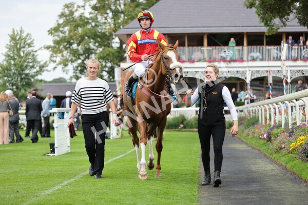 yr04092022r3-46 - Race 3 2.55pm The Elevator Company Garrowby Stakes